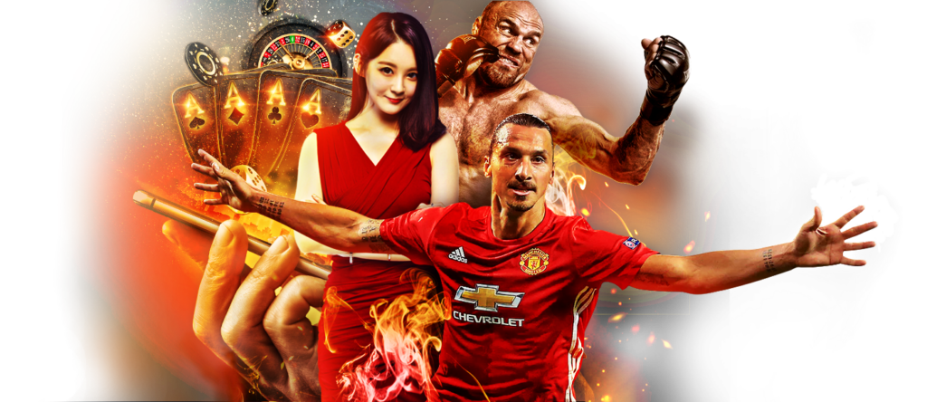 เหมาะกับผู้เล่นทุกระดับ tiger88